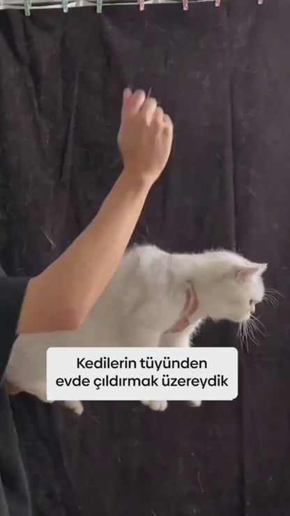 Pati Tüyüne Son !!